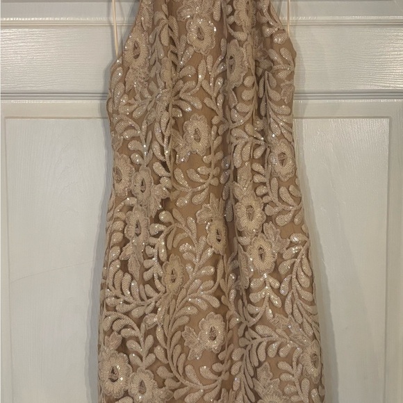 Belle Badgley Mischka Sleeveless Dress - Picture 3 of 8